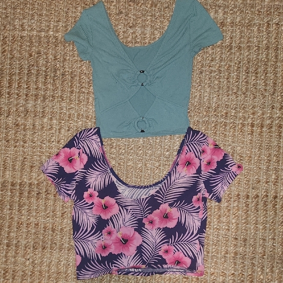 Victoria's Secret And Aerie Crop Tops - Picture 4 of 6